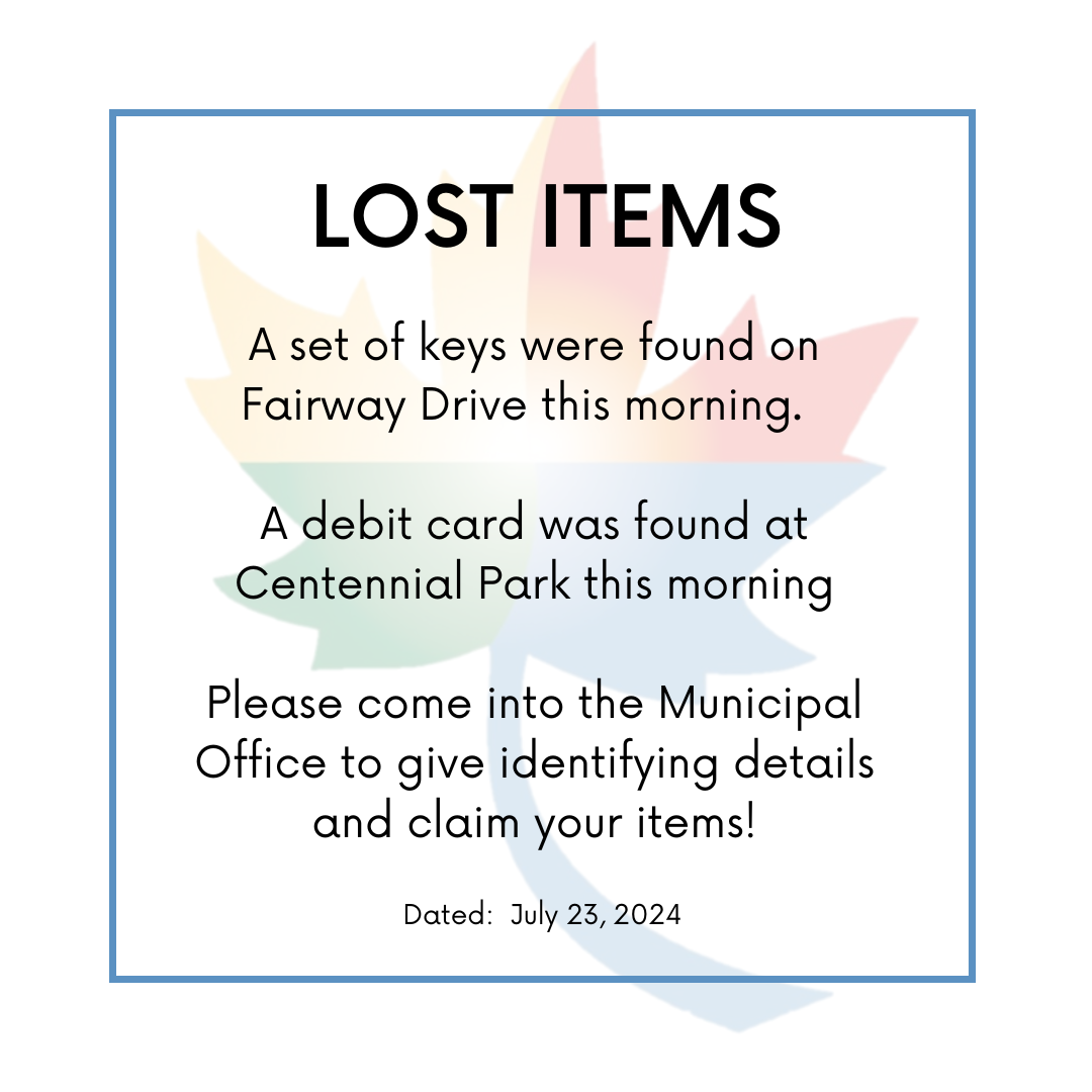 LOST ITEMS